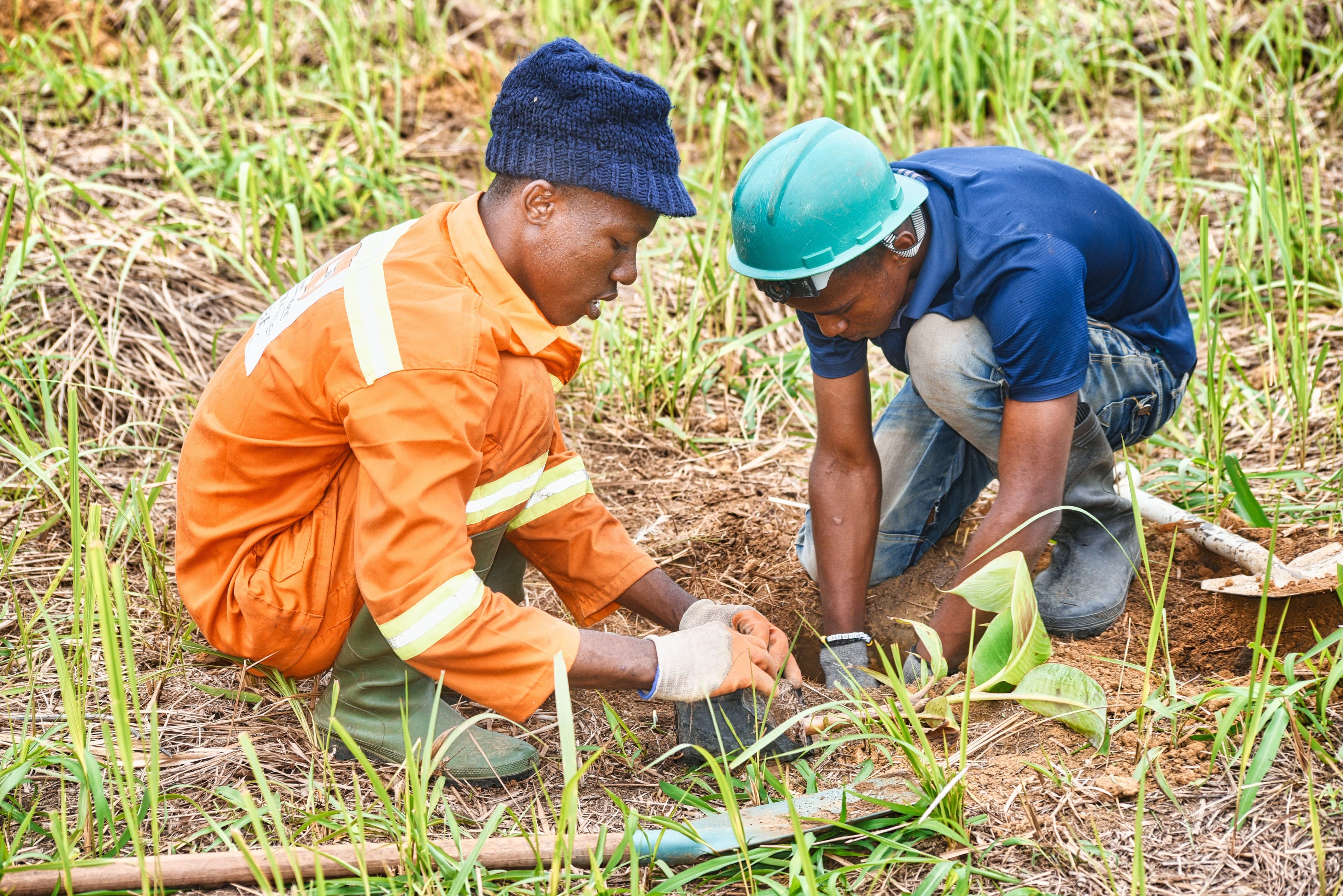 Youth-led tree planting campaign