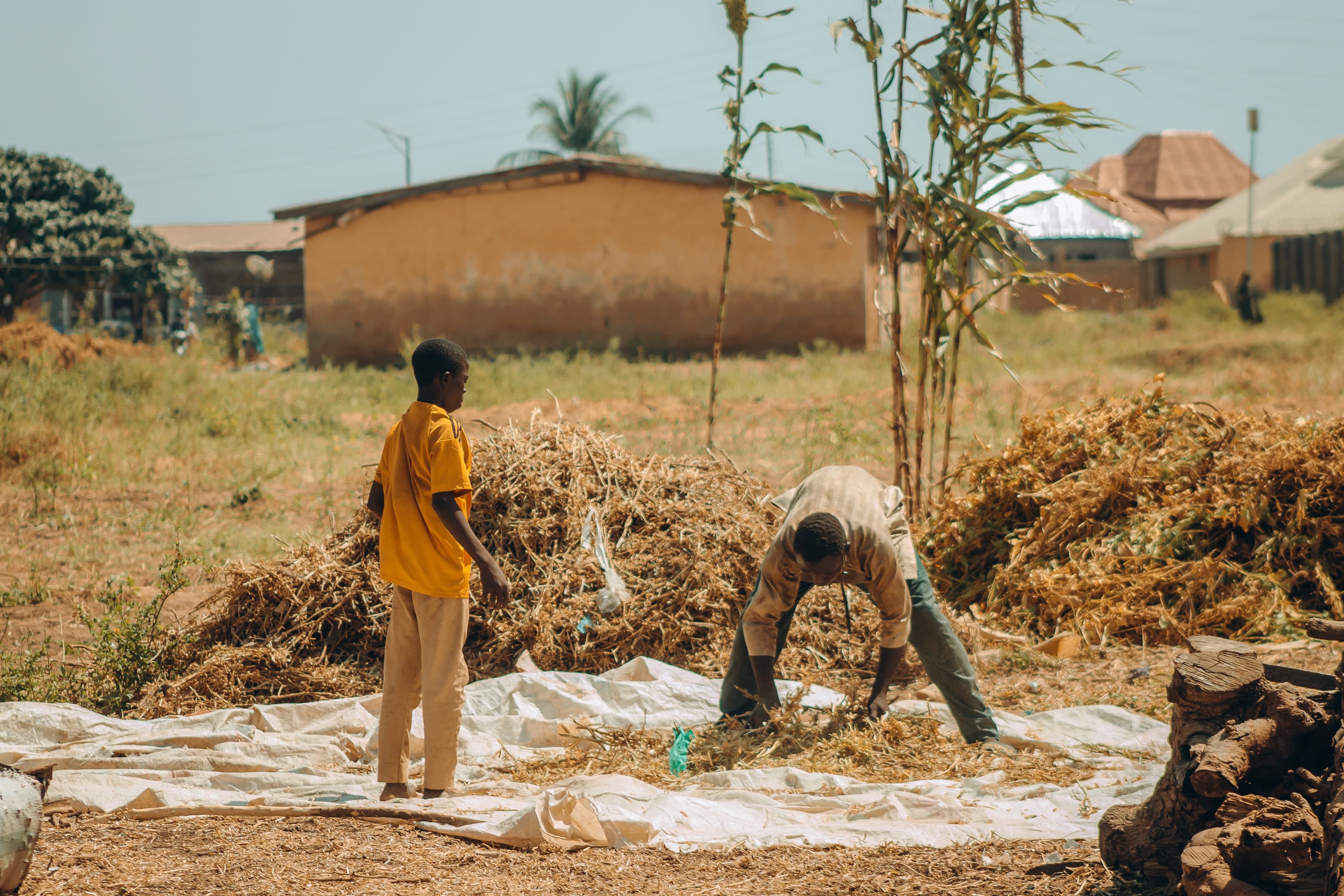 Youth in agribusiness training